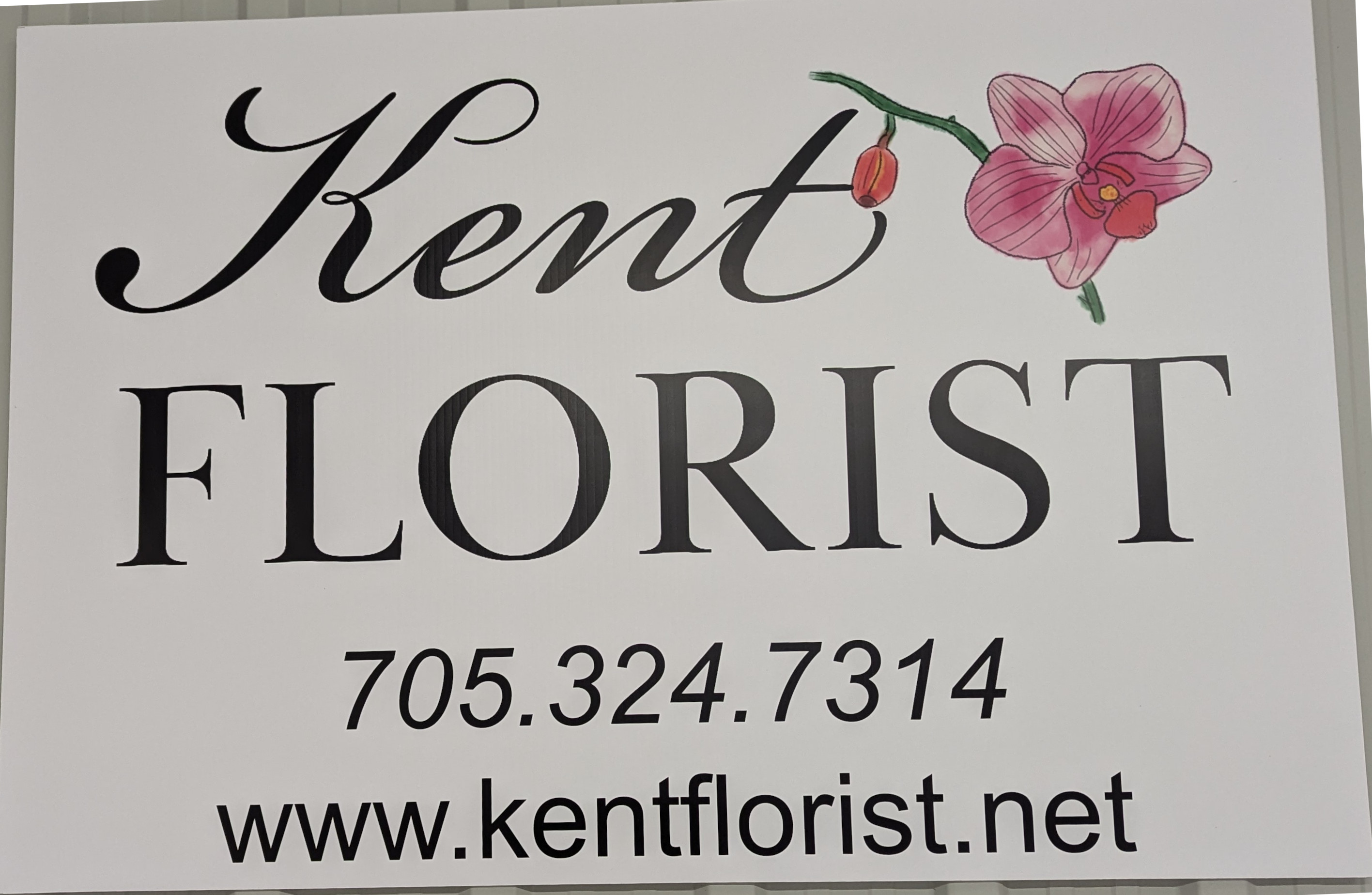 Sponsor:Kent Florist